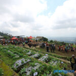 Layanan 10 Highest And Best Use - Semarang