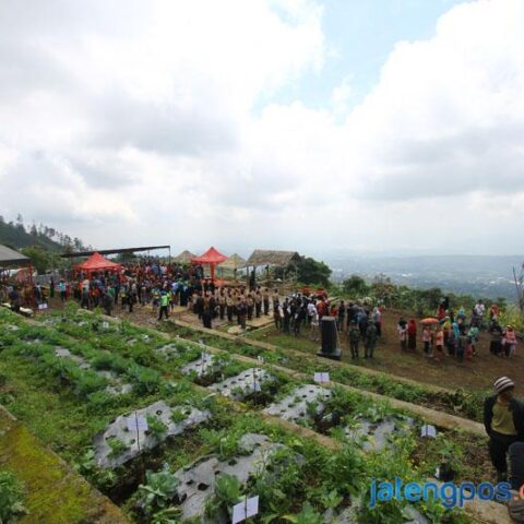Layanan 21 Highest And Best Use - Semarang
