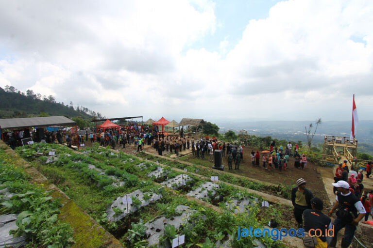 Layanan 22 Highest And Best Use - Semarang