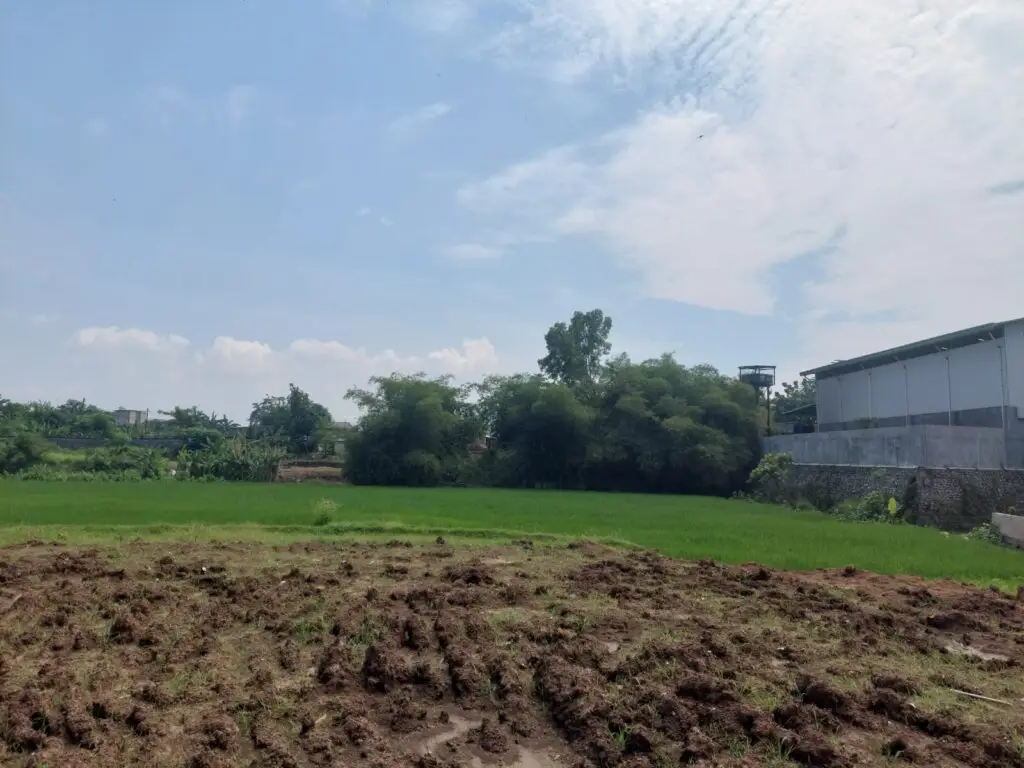 Studi Kelayakan Pabrik Bio-Pelet PT Parama Mitra Energi di Bekasi