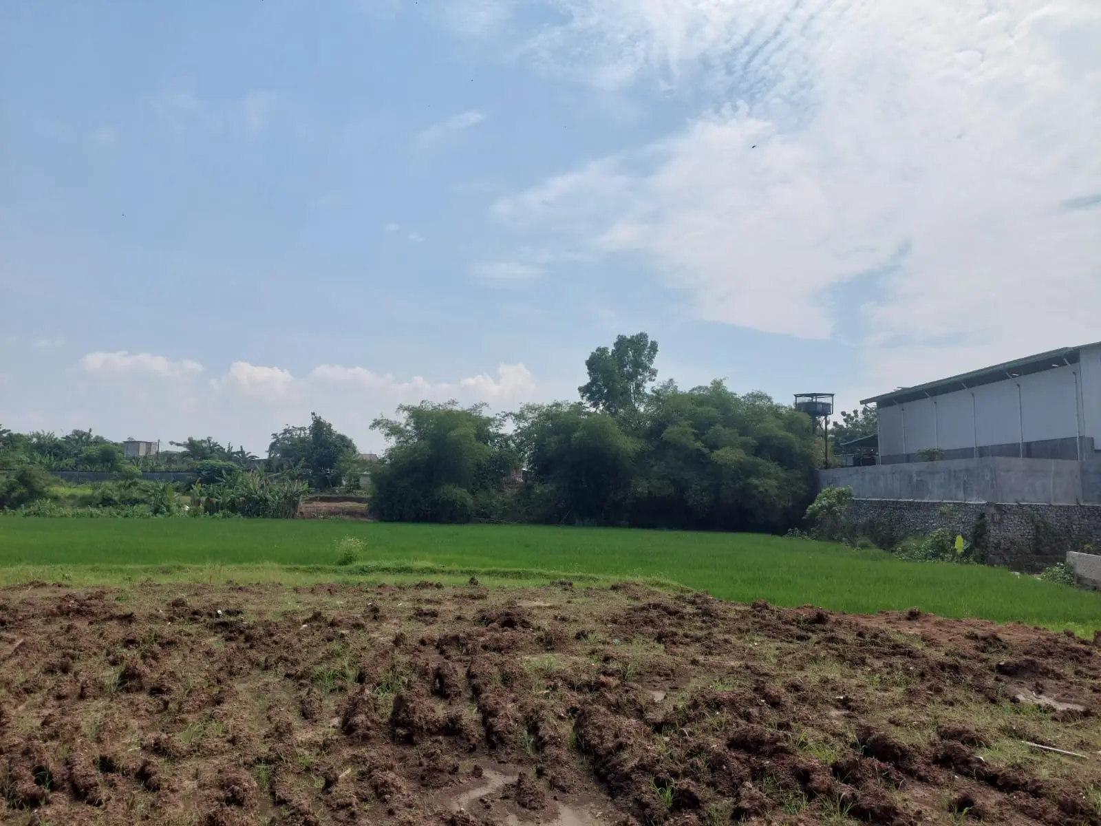Home 18 Studi Kelayakan Pabrik Bio-Pelet PT Parama Mitra Energi di Bekasi
