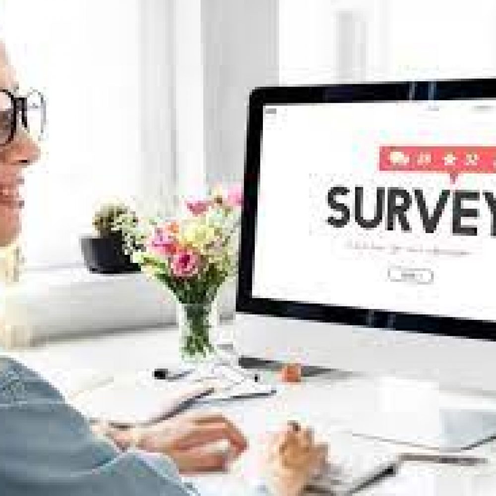 online survey