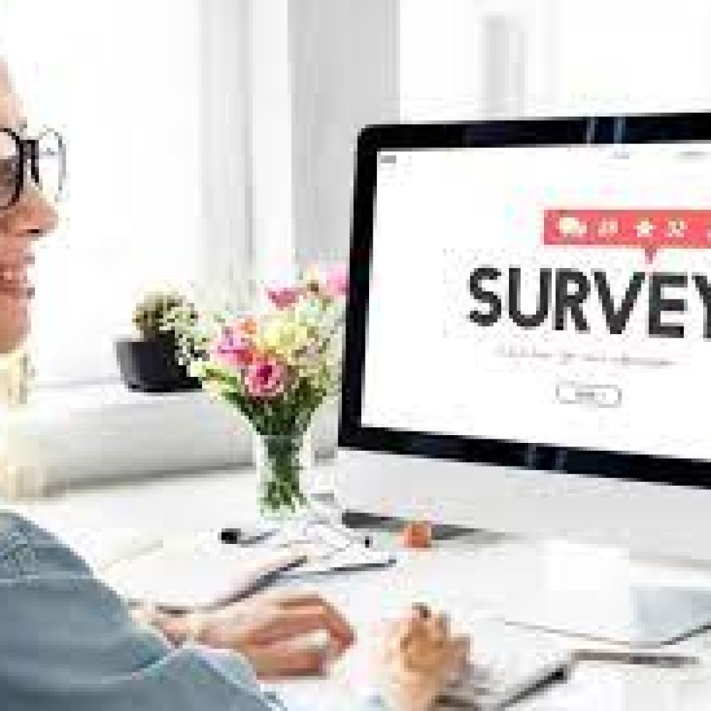 online survey